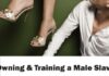 Owning and Training a Male Slave [PDF]