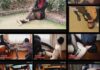 GZCN-199 Chinese beautiful mistress