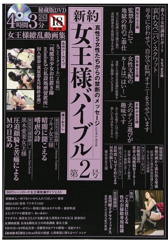 Sanwa Publishing JV-02