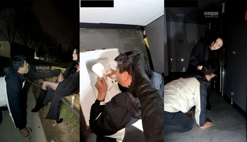 NHCN-1058 A night walk and a delicious dinner for your pet