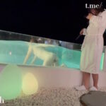 2025-11-19_QD_CBT.shot